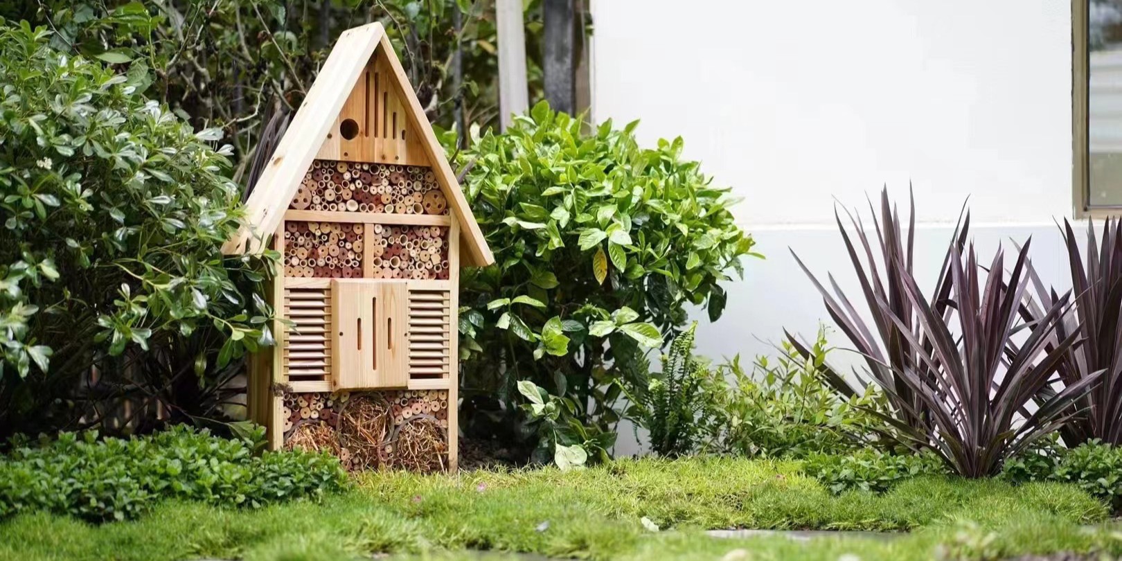 AJA宜悦幼儿园改造